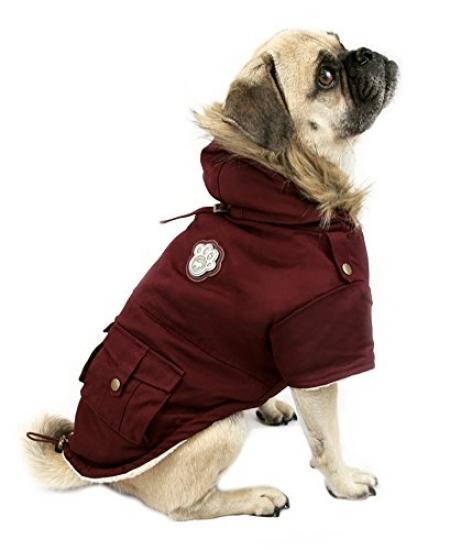 canada pooch jackets uk