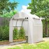 Walk In Polytunnel Greenhouse, Green House for Garden with Roll-up Window and Door, 1.8 X 1.8 X 2 M, White