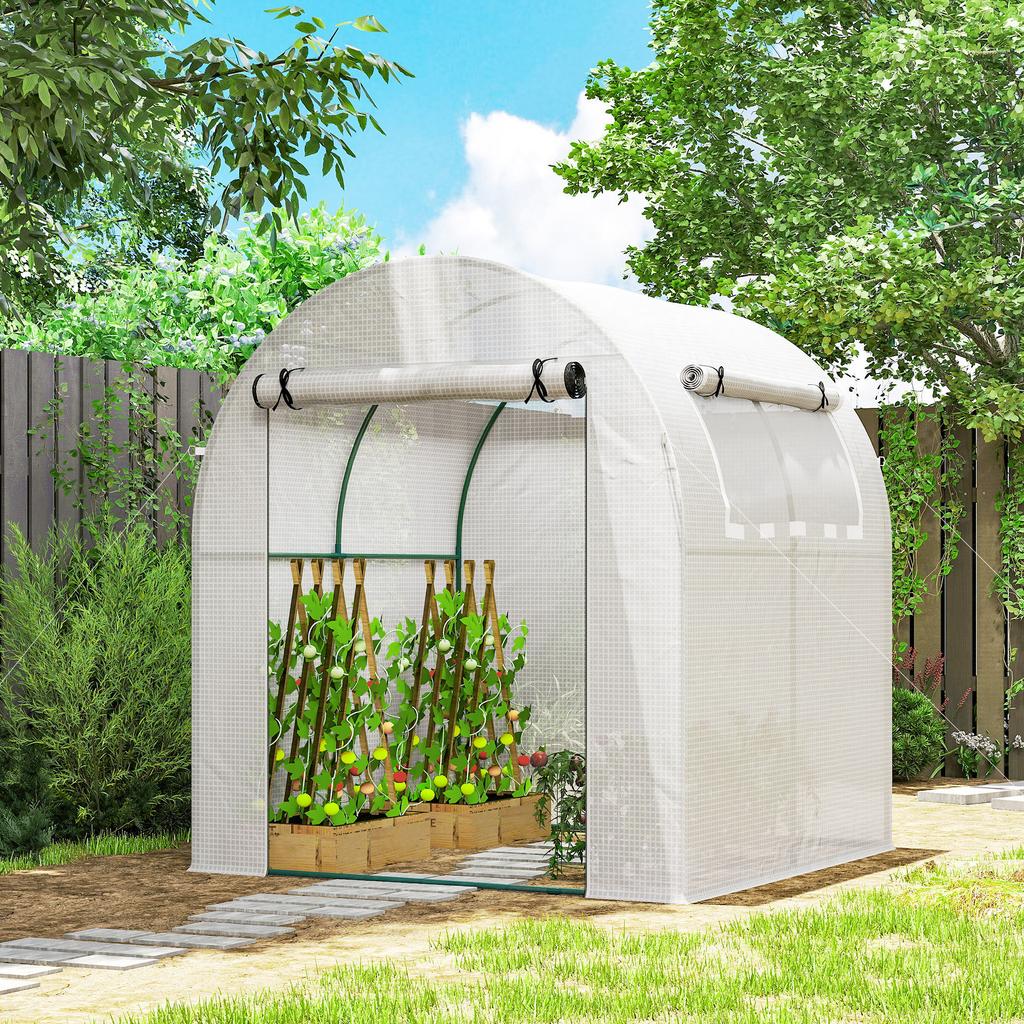 Walk In Polytunnel Greenhouse, Green House for Garden with Roll-up Window and Door, 1.8 X 1.8 X 2 M, White