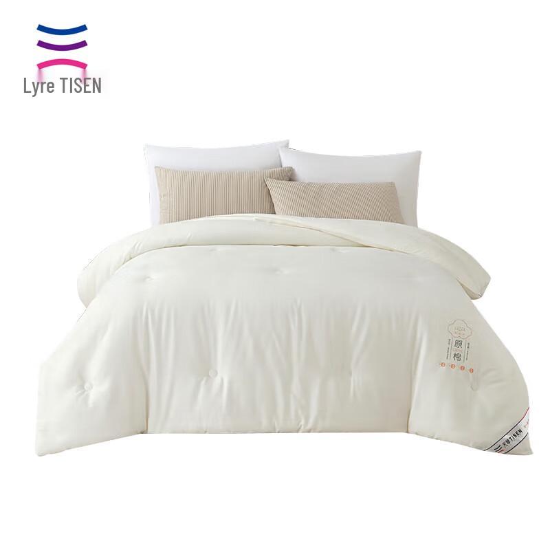 

Tianqin Rococo Royal Silk Blend Winter Quilt