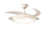Meng Pao 48-inch Flower Invisible Ceiling Fan Light with Remote
