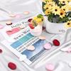 200pcs Flower Girl Petals, Rose Petals for Wedding, Silk Rose Petals, Red Pink Rose Petals & White Flower Petals for Wedding Bridal Shower Decor