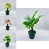 Artificial Indoor Plant Pot With Durable Material For Office Or Home Decor