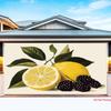 2D plane, lemon and blackberry fruit design background fabric, party studio decoration, polyester fiber