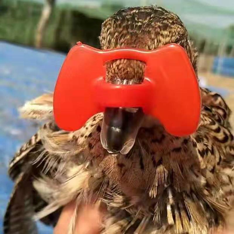 20/50/100 Pcs Chicken Glasses with Non-bolted Clips Anti-pecking and Fighting Type of Non-nasal-piercing Without Bolts