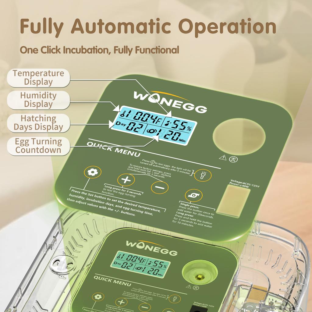 Smart Egg Incubator With Multiple Functions, Capacity for 12 Eggs, Compact, Household, Portable, Fully Automatic