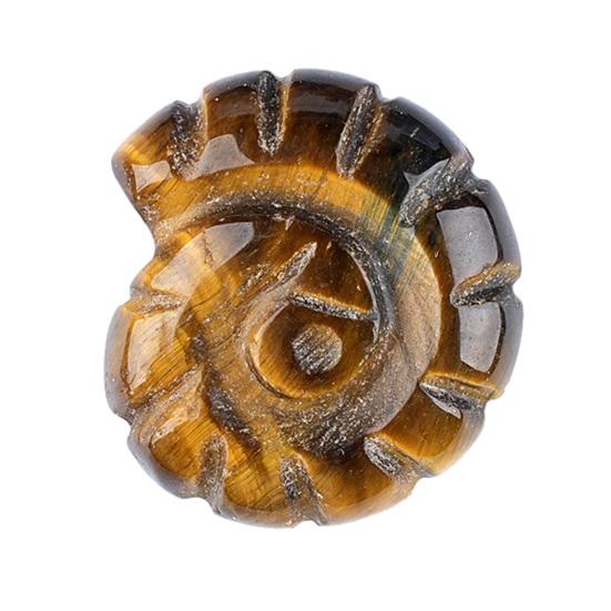 Natural Stone Conch Shell Figurine Healing Stone Ocean Ornament Boho Beach Polished Natural Gemstone Gifts for Men Women