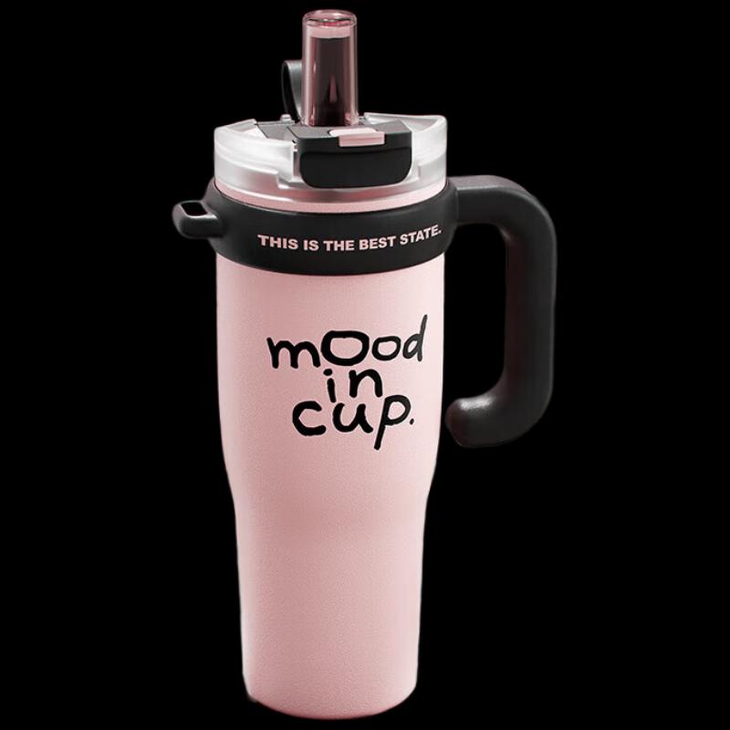 Wushengwu 316L Stainless Steel Insulated Straw Cup