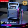 Newsmy K99 Portable Bluetooth Karaoke Speaker (CN Version)