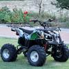 Custom Beach Four-Wheel Off-Road Electric ATV - Little Bull