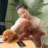 Cute Teddy Dog Plush: Soothing Small Dog Doll for Sleeping & Hugging