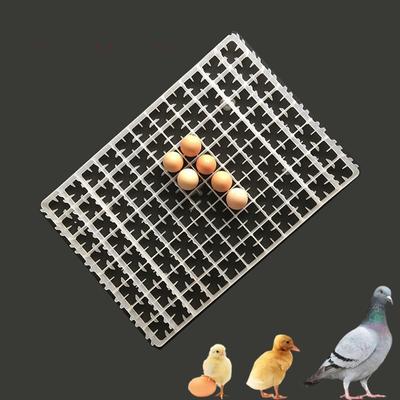 1 Pieza Bandeja para Huevos para Incubadora Automática Ganso Palomas Pato Codorniz Huevo China Piezas de Incubadora Accesorios para Avicultura Suministros