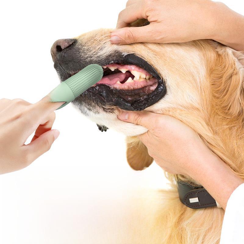 Silicone Finger Toothbrush for Cats and Dogs - Pet Dental Care