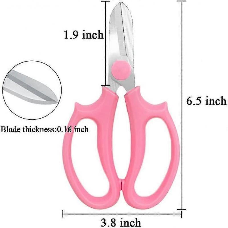 2 Stück Gartenschere Blumenschere, professionelle Blumenschere mit komfortablem Griff