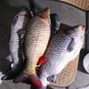 Tilapia Cartoon Fish Stuffed Doll Mossambica Fish Anime Pillow Dolls Girls Xmas Gift