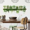 Dill Leaves Hanging Basket Sticker Waterproof Stump Potted Plant Decorative Decals  Livingroom