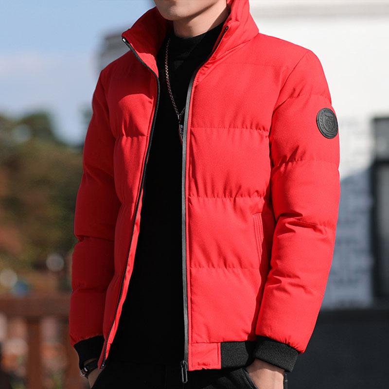 Men's Winter Cotton Printed Casual Jacket - Hong Kong & Korean Style, Thickened, Loose Fit, Stand Collar.