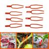 150Pcs Garden Plants Stem Fork Greenhouse Agriculture Vegetable Strawberry Watermelon Vine Planting Fork Plants Bracket 15x66mm
