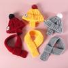 Winter Knit Wool Ear-Hole Hat & Warm Scarf Set for Pets - Cat, Dog, Rabbit Headwear for Christmas & New Year