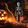 Halloween Skeleton Decoration Full Body Movable Joints Skeletons Model for Spooky Scene