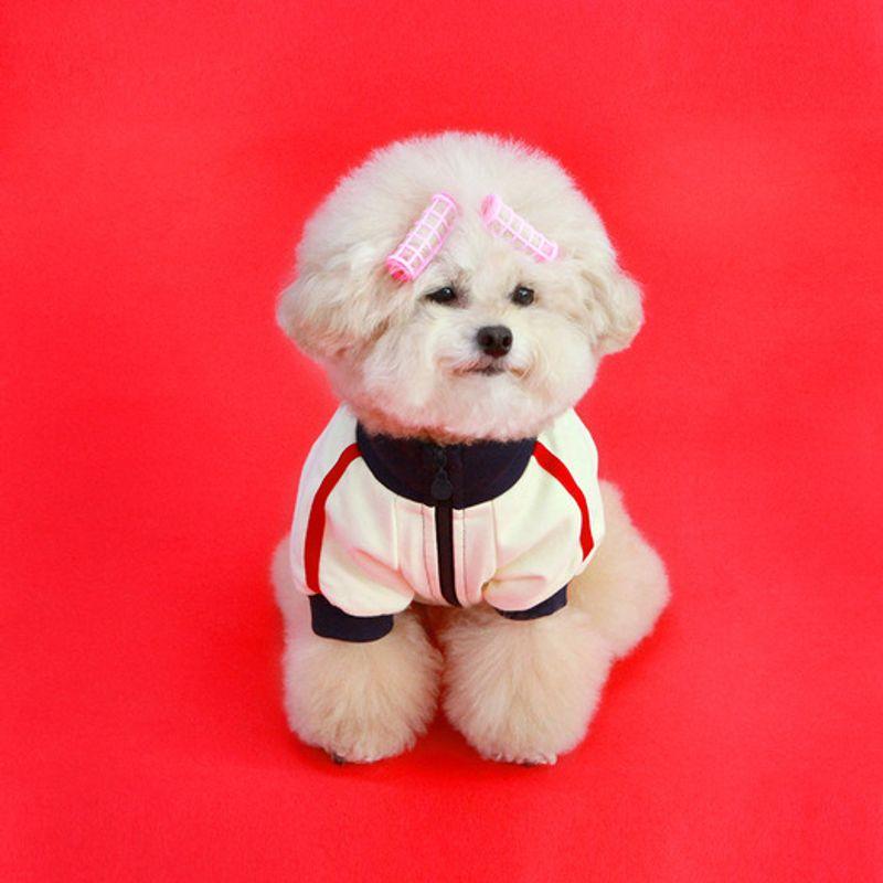 VOICI UNE ZIPUP D'ENTRAÎNEMENT-IVOIRE(Fermeture éclair)