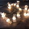 Easter Carrot Bunny & Chicken LED Copper Wire Decorative String Lights