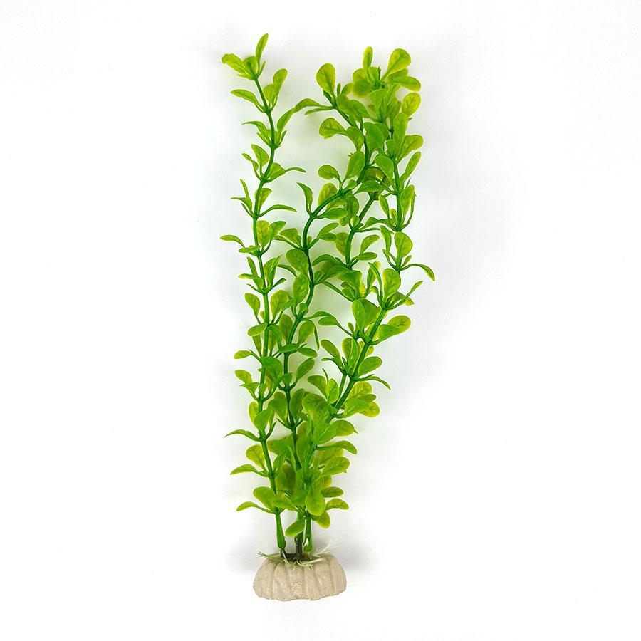 

Реалистичные искусственные аквариумные растения 25 см | Пластиковые водные декорации для аквариума | Искусственные водные растения для яркого оформления зелёный