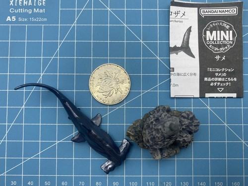GACHA Ecological Atlas FIGURE MINI Shark Hammerhead Shark Hammerhead Shark Deep-Sea Creatures ACTION Figure Model Toys