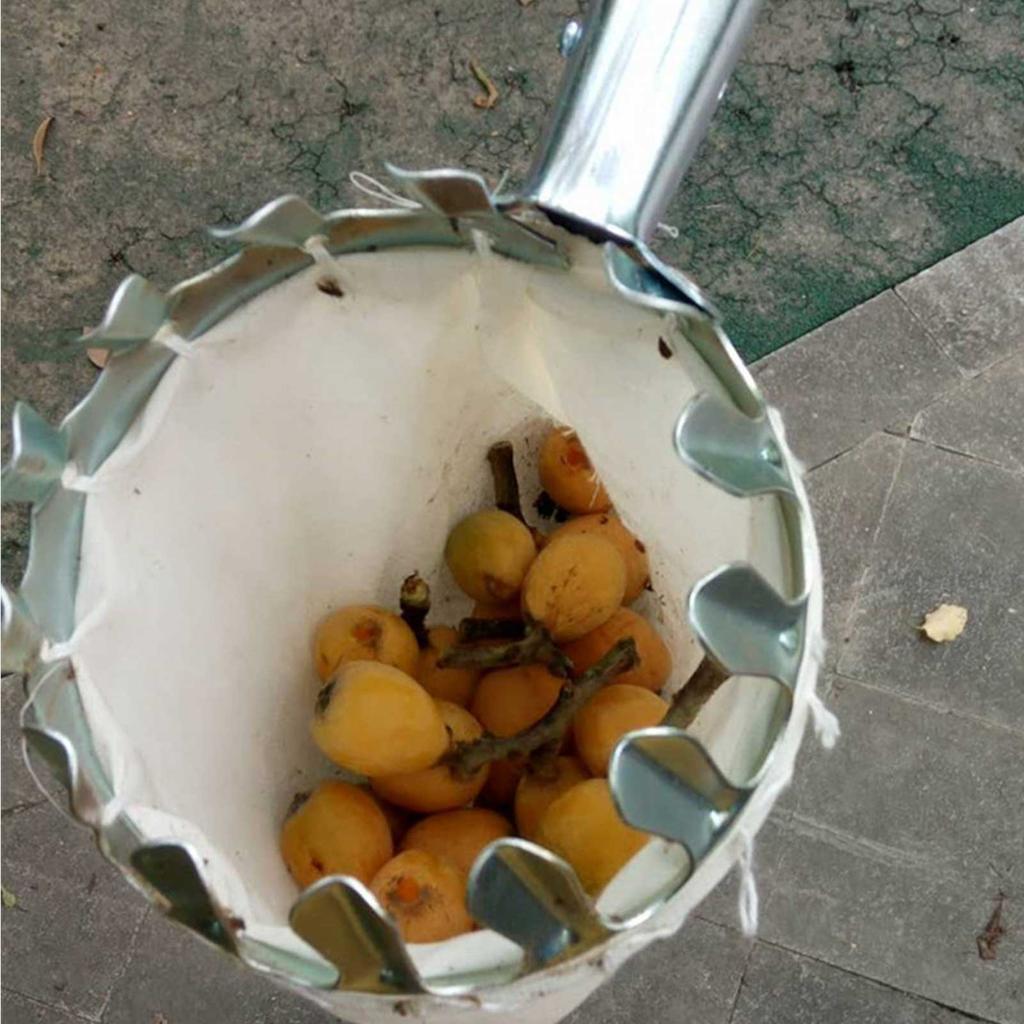 1,5 M din oțel inoxidabil culegător de fructe cu sac telescopic culegător de fructe instrument de cules pentru recolta grădină curte livadă lucru