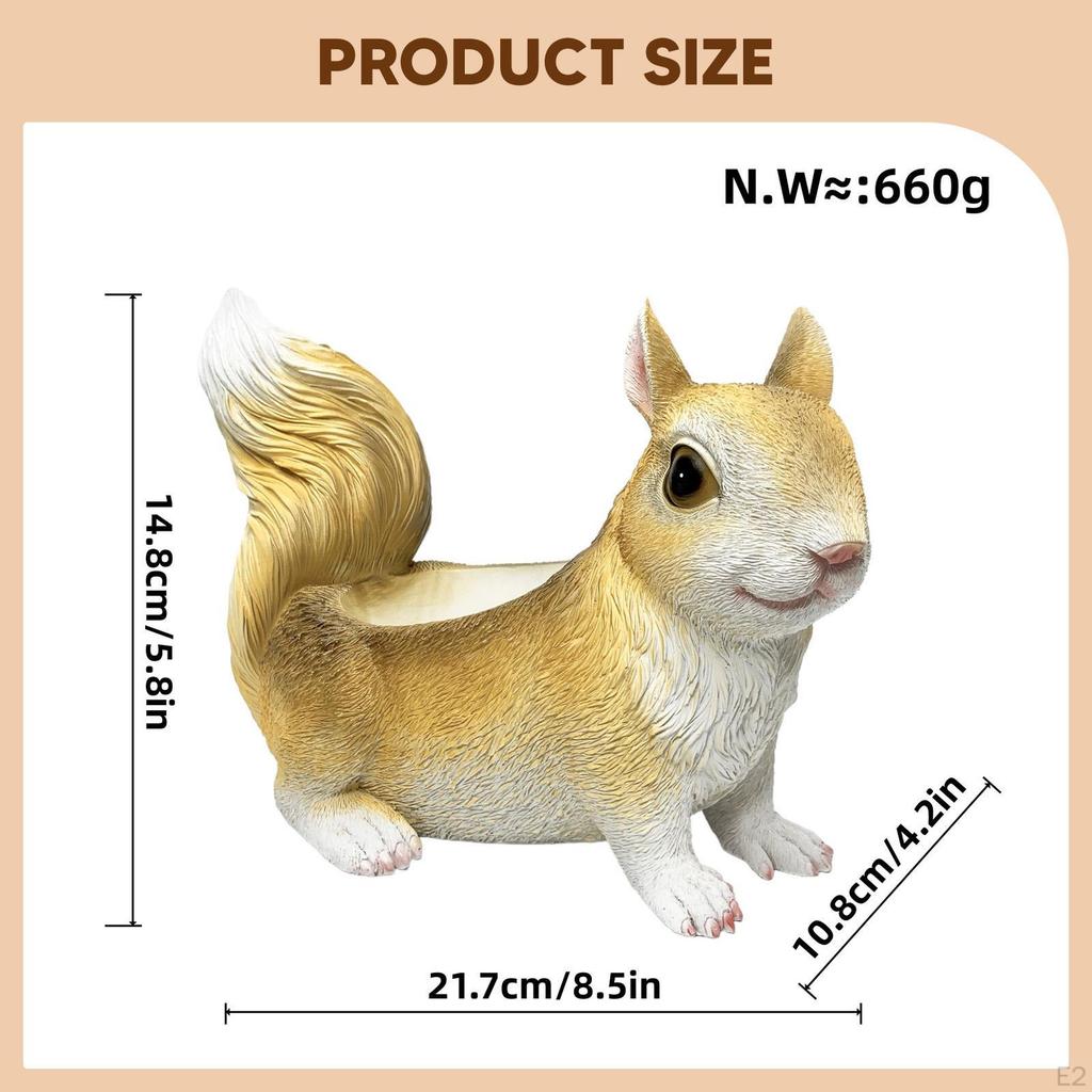 Decorative Collectible Squirrel Statue, Storage Item, Animal Sculpture for Housewarming, Wardrobe,