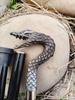 Silver Dragon Head Walking Stick – 3 Fold Black Hardwood Cane, Style Handle