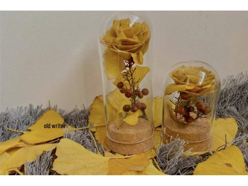 Ginkgo Leaf Plant Specimen - Pressed Flower Material for Handmade Projects & Desktop Decor