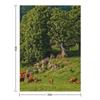 English Country Farming Scene Throw Blanket blankets and throws Fashion Sofas Luxury Thicken Bed covers Blankets