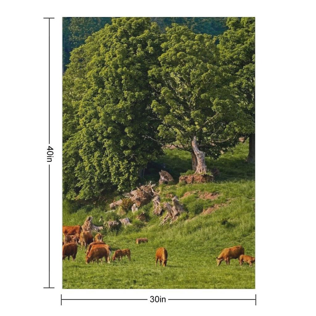 English Country Farming Scene Throw Blanket blankets and throws Fashion Sofas Luxury Thicken Bed covers Blankets