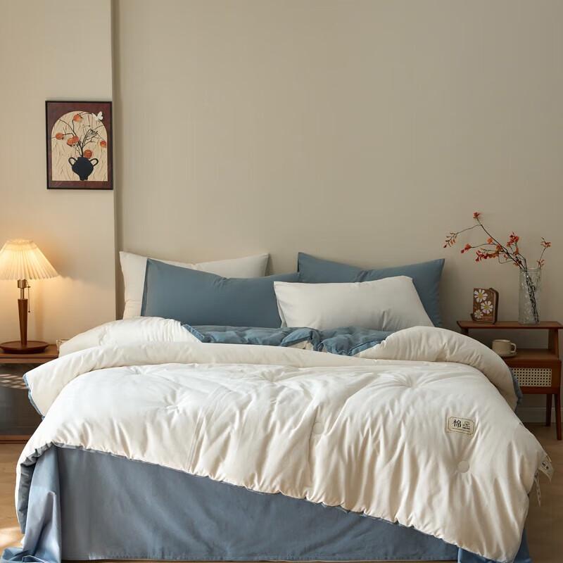 

Belle Anna All-Cotton Shell Fiber Comforter