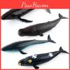 Realistic Soft Pvc Ocean Animal Model Toy Collection Featuring Blue Whale Sperm Whale Humpback Whale And More
