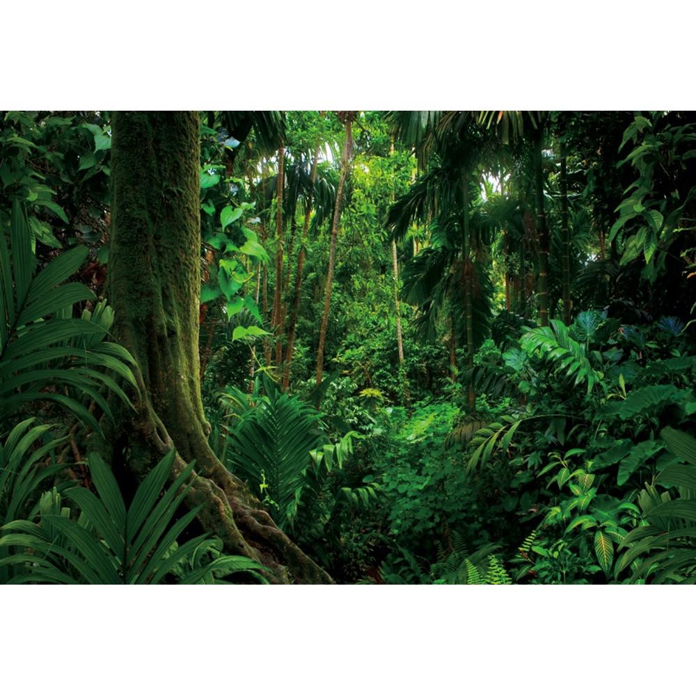 Spring Forest Backdrop Tropical Jungle Rainforest Backdrops for Photography Camping Adventure Birthday Background Photo Studio