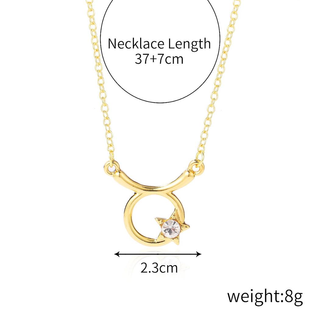 Necklace for Women Zodiac Card Pendant Necklace Ins Simple Personalized Collarbone Chain with Diamond Constellation Necklace Elegant Necklace