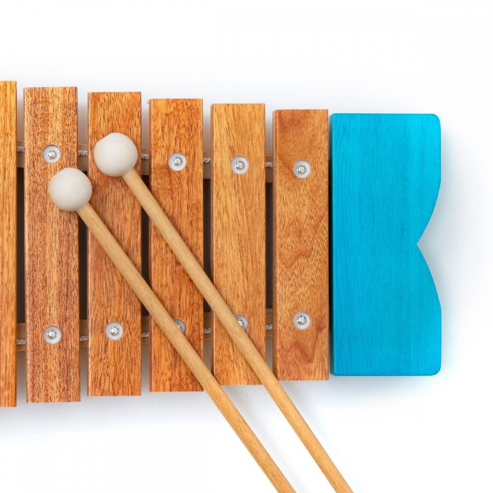 BorneLund Original Fish Xylophone Blue Возраст около полутора лет BZ8000B — фото 6