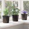 Flower Pot 50 Pcs Black Ø 15 X 13 Cm Plastic