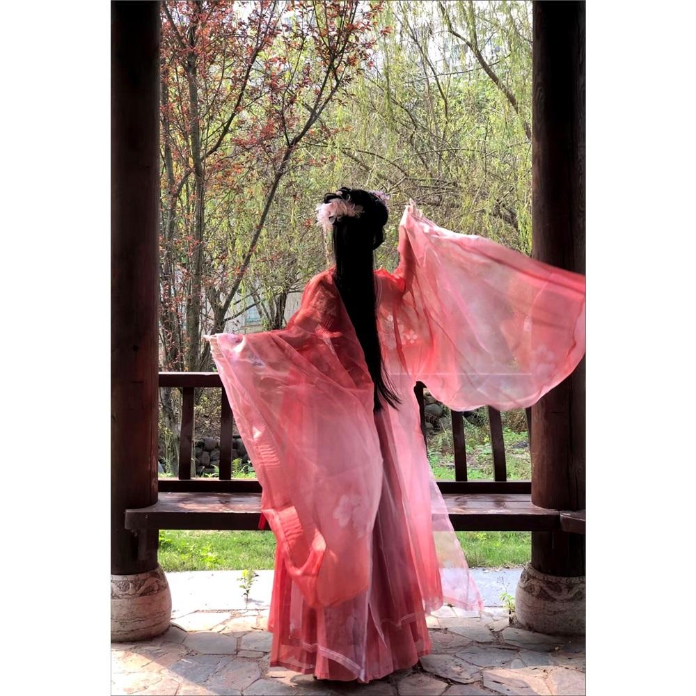 Rochie HE ZI în stil chinezesc din dinastia Tang Costum pentru femei Hanfu Costum zilnic brodat