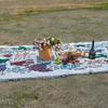 Outdoor Moisture-proof Thickening Picnic Mat Waterproof Foldable  Lightweight Graphic Print Family Mat Portable Large Picnic Blankets Travel Hiking