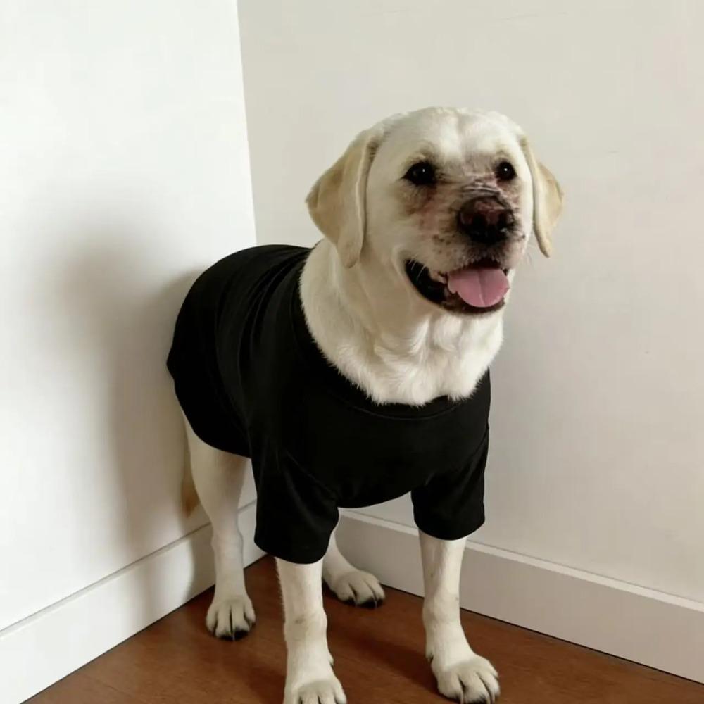 Frühling Sommer Einfarbige Hundekleidung für große Hunde, Dünne Anti-Haarausfall Haustierkleidung für Labrador Golden Retriever Border Collie