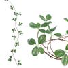 Decorative Dangling Vine Nordic Design Faux Hanging Leaves