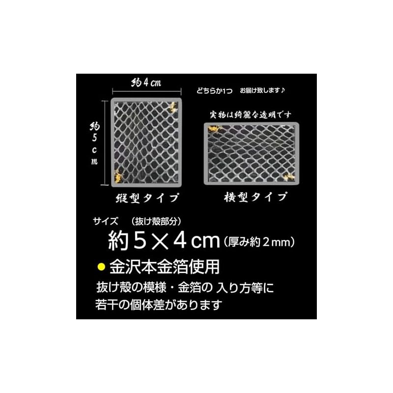 Luxurious White Snake Shell (Back - Kanazawa Gold Leaf) Laminated - Good Luck & Charm / Shrine Prayer Preserved / Clear Type (Transparent) - Premium