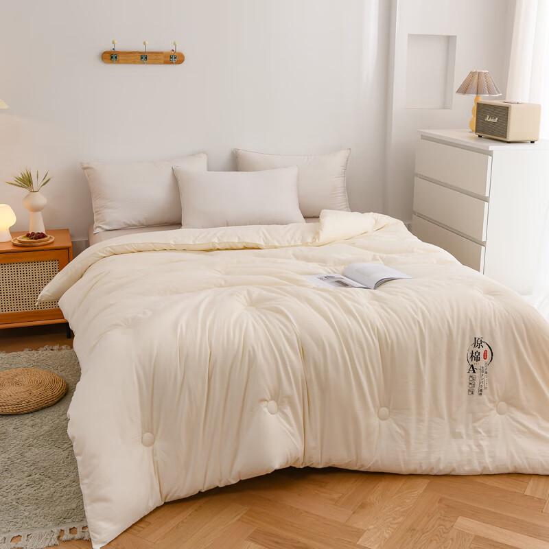 ROMROL Warm Soy Fiber Winter Quilt