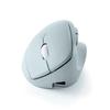 SANWA SUPPLY Silent Wireless Combo Compact Ergonomic Mouse (Rechargeable, 5 Buttons, Blue) MA-EWBBS522BL