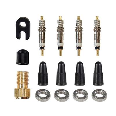 Premium Bike Tyre Valve Core Stem Removal Kit 15PCs High and Low Pressure Type