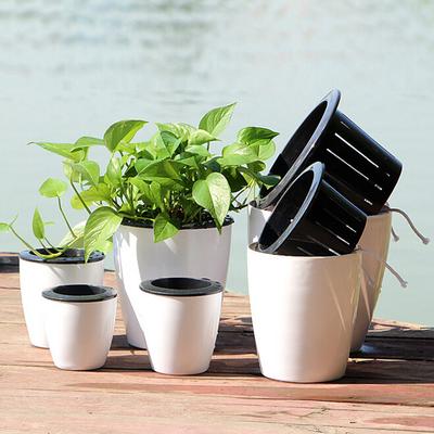 Fauler Blumentopf, automatische Wasseraufnahme, Kunststofftopf, grüne Pflanze, Wasserkultur