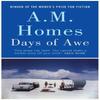 Days of Awe by A.M. Homes Hardback Book 9781847083258